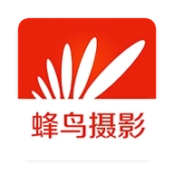 蜂鸟摄影