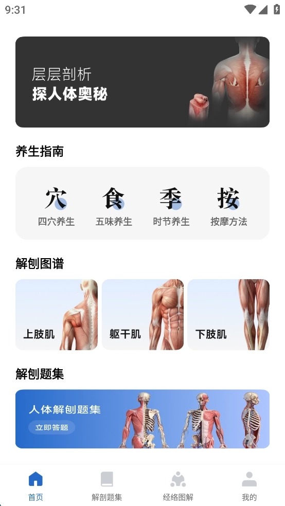人体解剖图集免费版安装下载