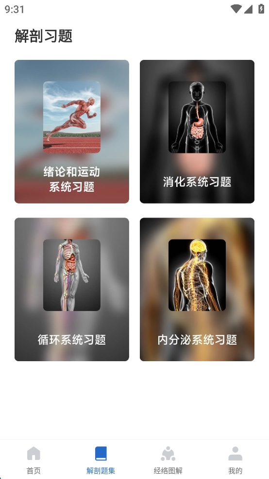 人体解剖图集免费版2