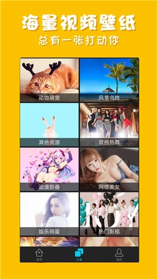 彩蛋视频壁纸