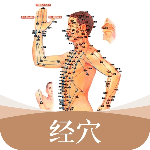 中医经络穴位