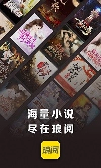 琅阅小说免费版3