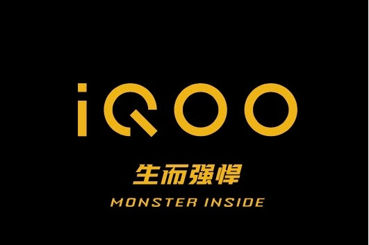iQOO社区版本大全