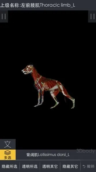 3dbody宠物最新手机版安卓下载
