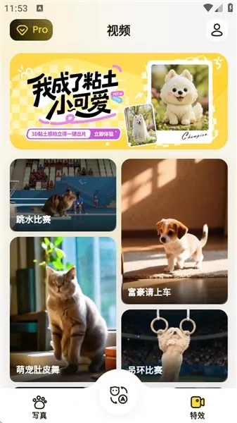 宠玩安卓版最新下载