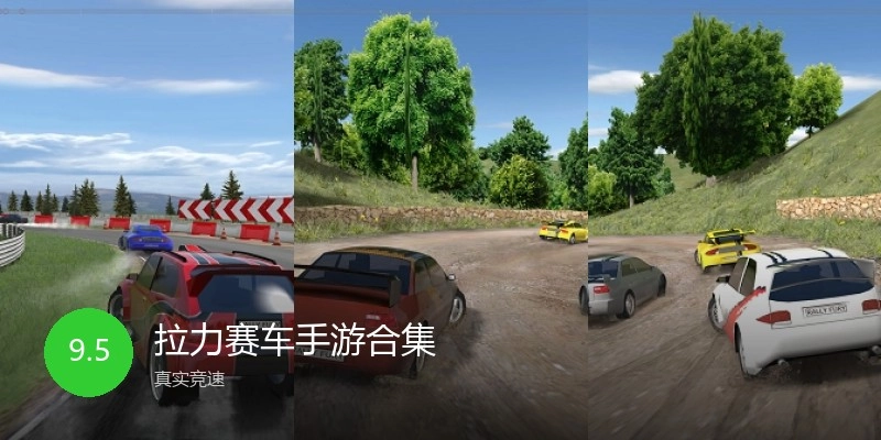 拉力赛车手游合集