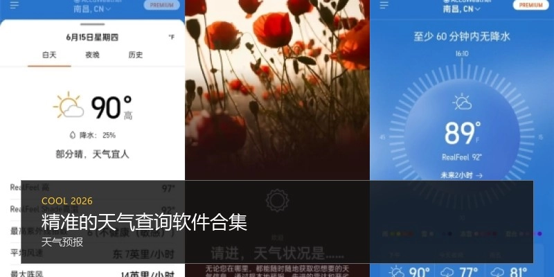 精准的天气查询软件合集