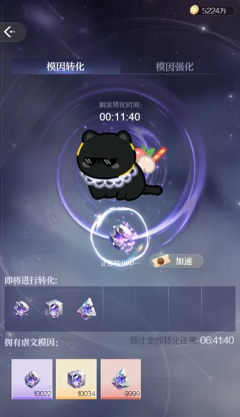 代号大女主