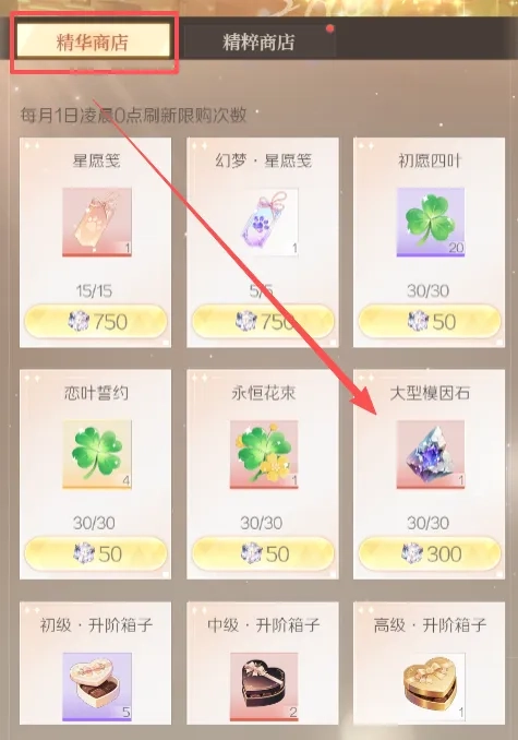 代号大女主