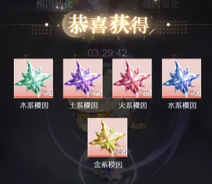 代号大女主