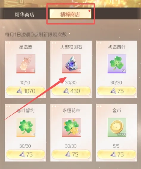 代号大女主
