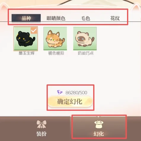 代号大女主