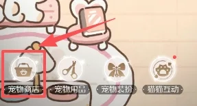 代号大女主