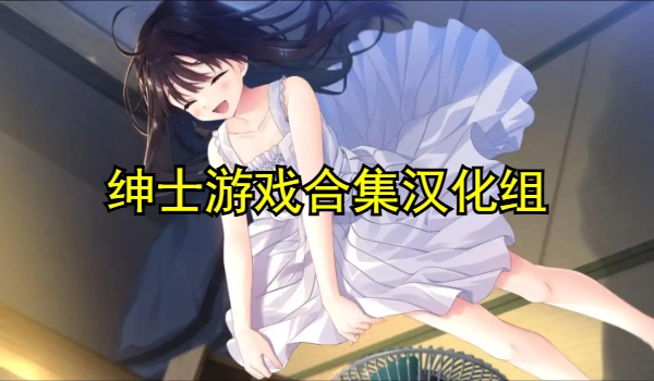 绅士游戏合集汉化组