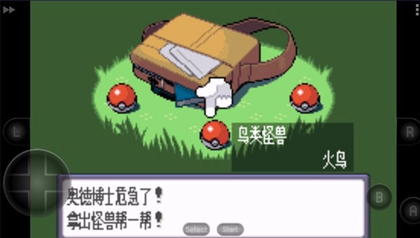 口袋妖怪蓝宝石PokemonSapphire3