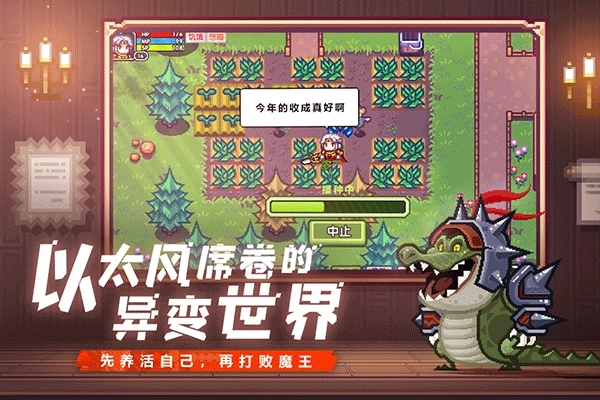 伊洛纳安装4