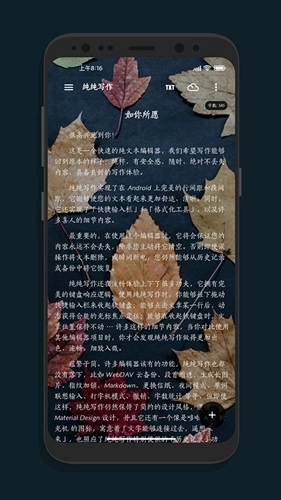 纯纯写作正版4