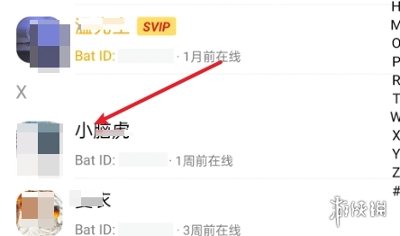 蝙蝠聊天软件安卓版下载