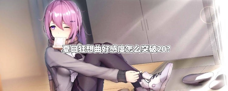 夏日狂想曲冷狐版全cg解锁下载