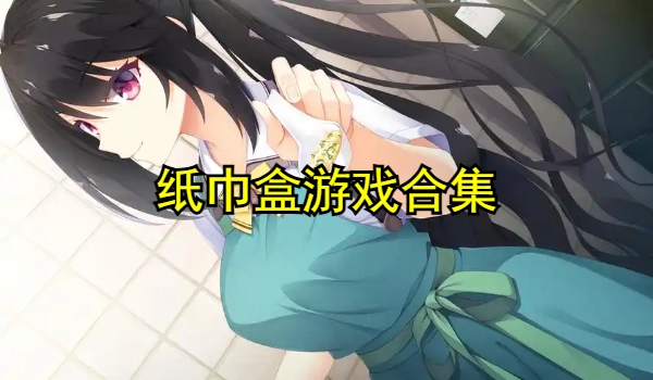 《纸巾盒游戏合集》像素直装