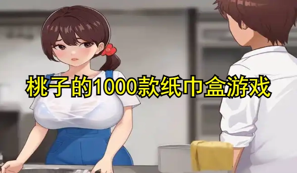 桃子的1000款纸巾盒游戏