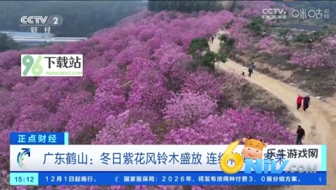 壹米电视