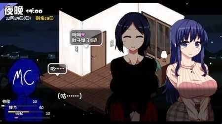 冬日狂想曲冷狐汉化版下载