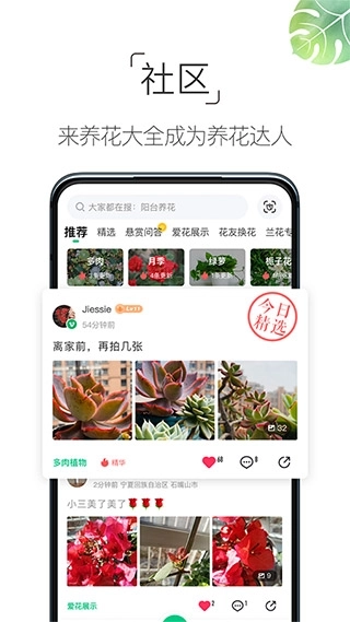 养花大全免费版2