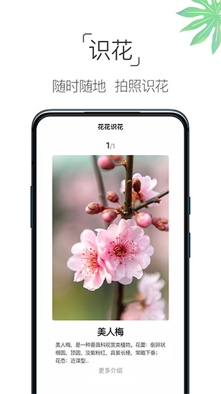 养花大全免费版1