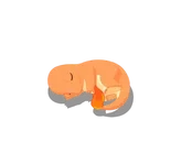 宝可梦睡眠