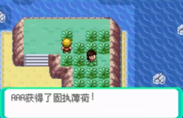 口袋妖怪西班牙火箭队截图2