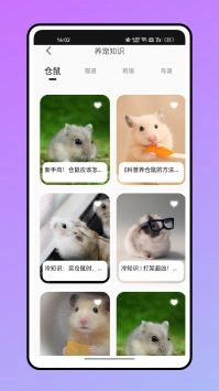 仓鼠翻译器免费下载