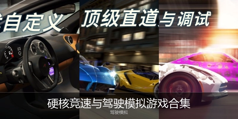 硬核竞速与驾驶模拟游戏合集