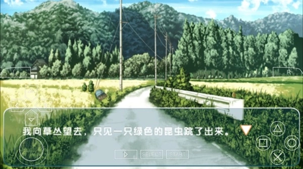 缘之空最新版