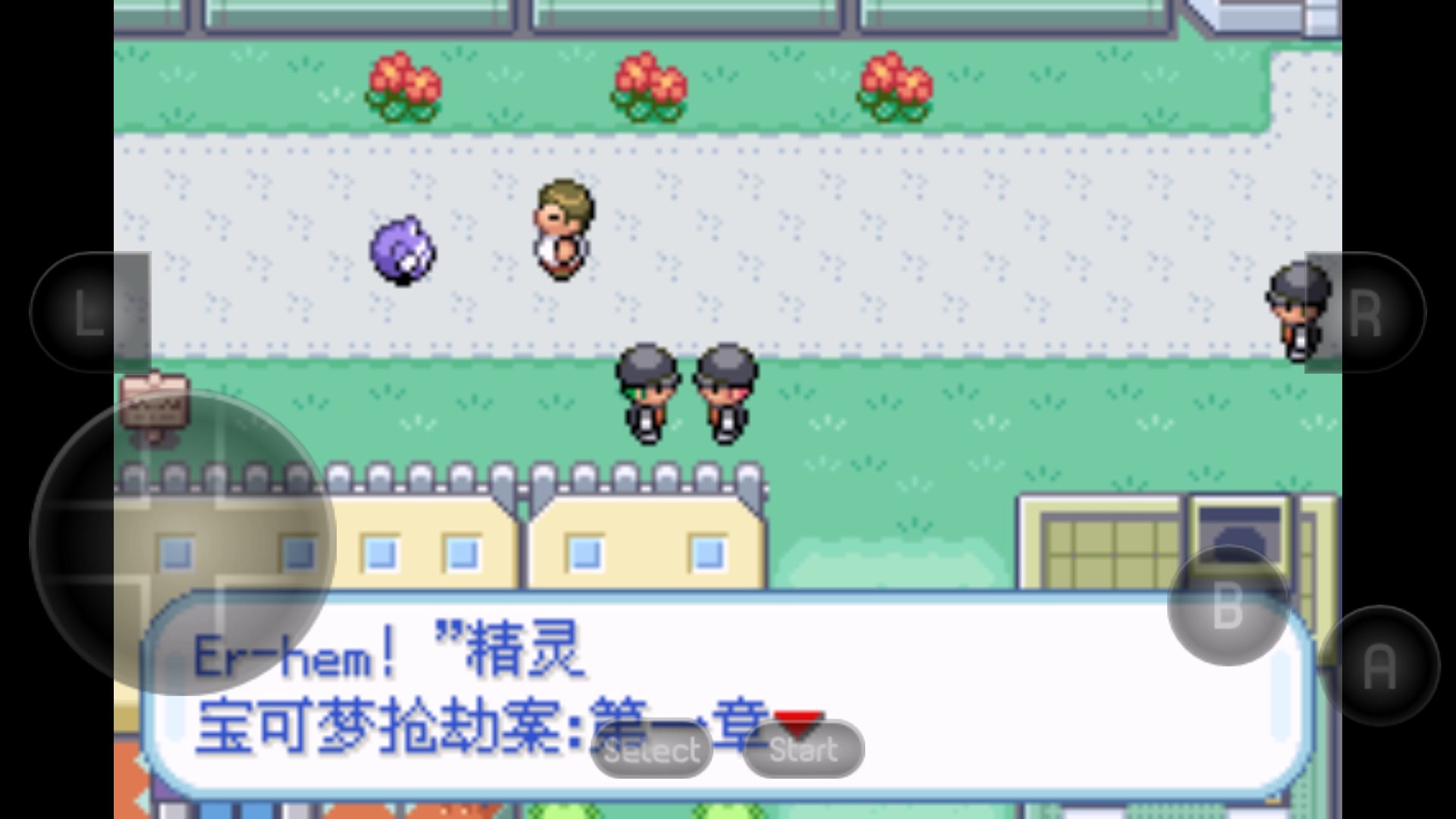宝可梦西班牙火箭队