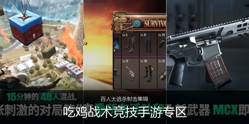 吃鸡战术竞技手游专区