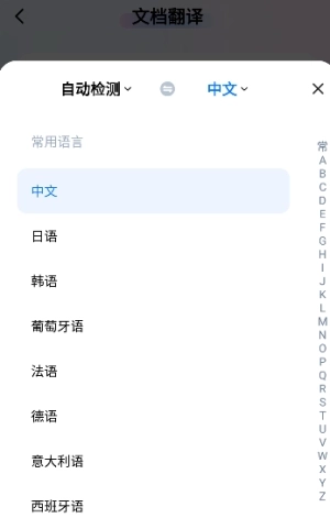 金牌翻译官2