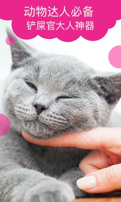 猫语翻译3