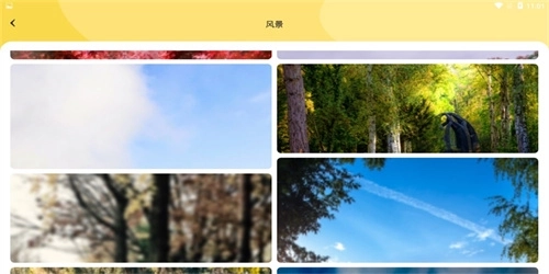 炫彩主题壁纸app下载