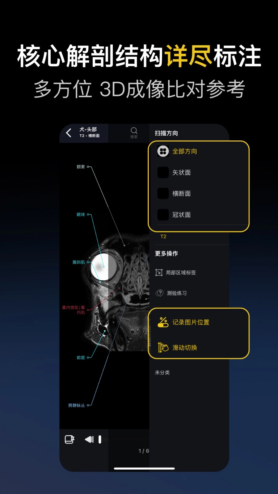兽医解剖图谱3
