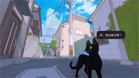 小猫咪大城市安卓版1