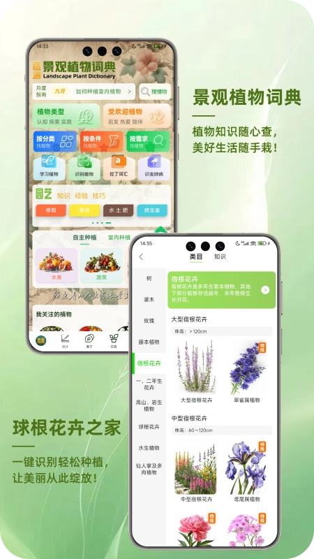踏遍景观植物词典5