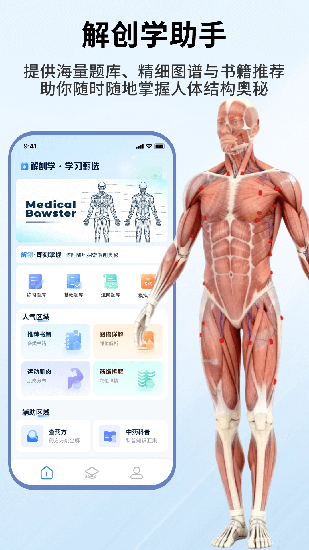人体解剖学图谱