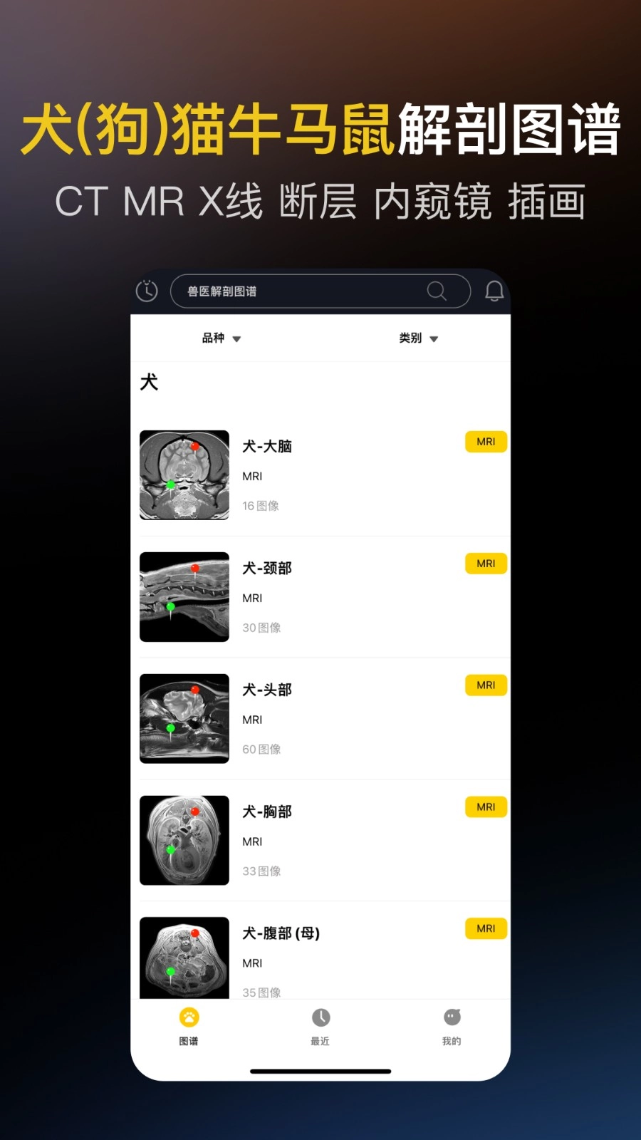 兽医解剖图谱5