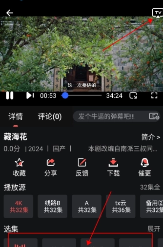 鲸鱼影视免费版