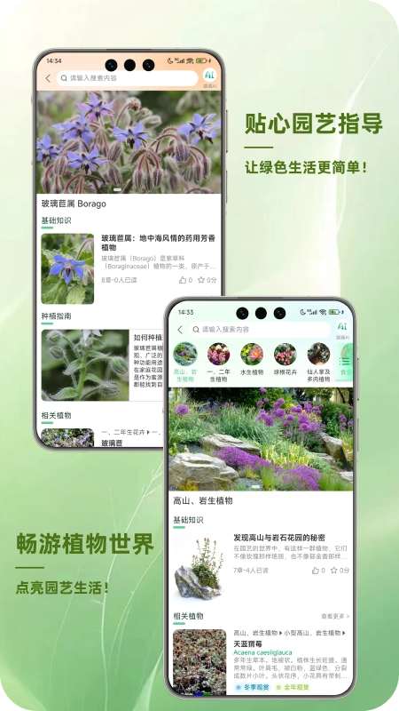 踏遍景观植物词典1