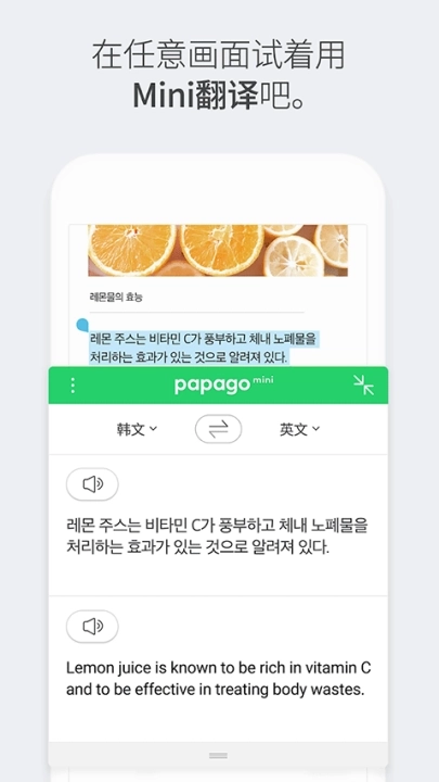 papago安卓版4