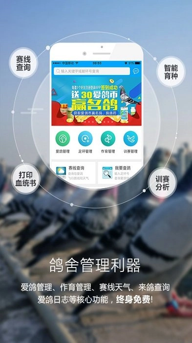 爱鸽者最新版手机下载