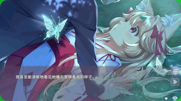 Fox Hime Zero