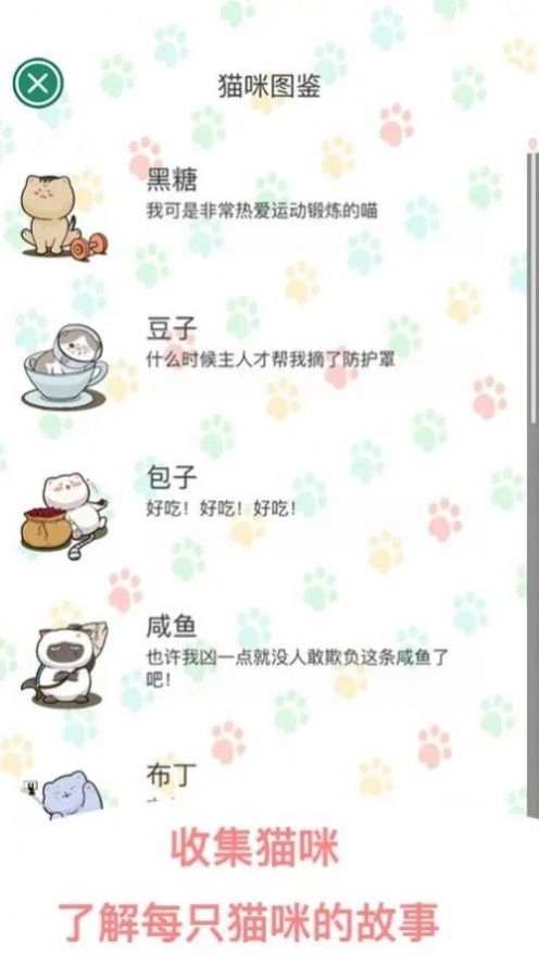 萌布猫咪1
